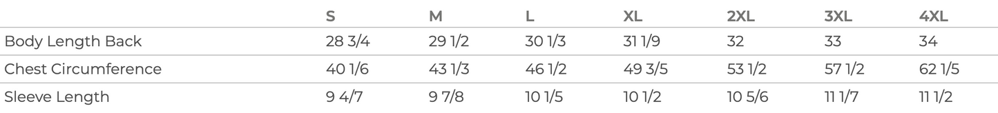 HILLSDALE HAWKS GOLF SHIRT