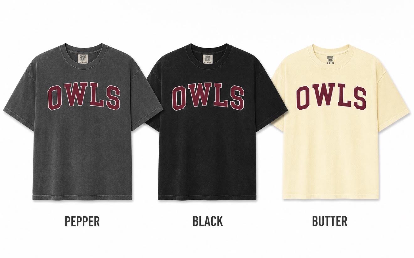 PARK RIDGE OWLS COMFORT COLORS BOXY TSHIRT