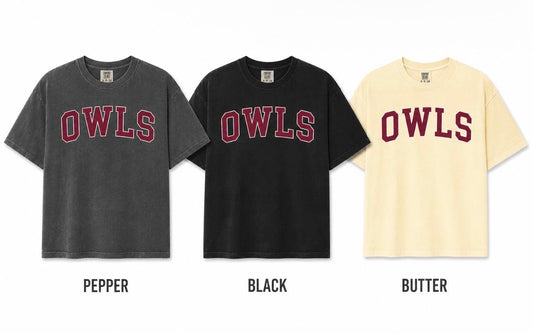 PARK RIDGE OWLS COMFORT COLORS BOXY TSHIRT
