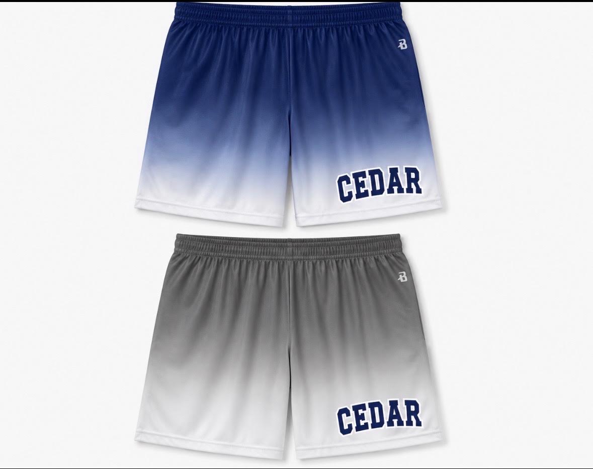 CAMP CEDAR OMBRE SHORTS