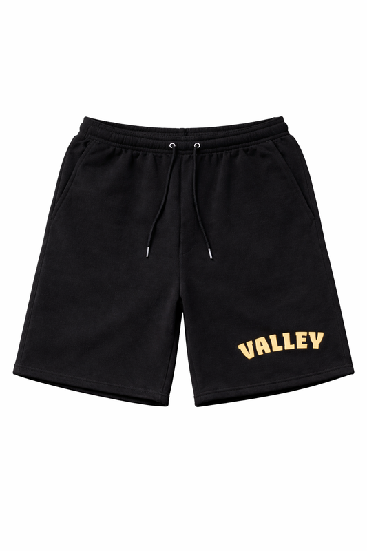 PASCACK VALLEY CLASS OF 2029 UNISEX SWEAT SHORTS