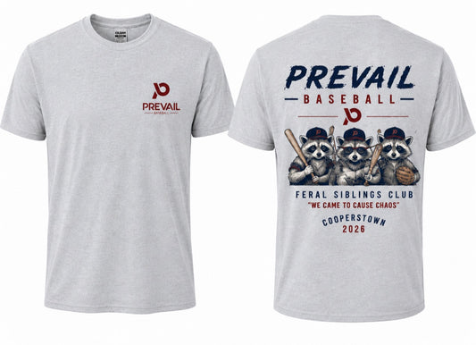 Prevail Baseball sibling shirt 2