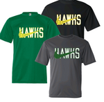 HILLSDALE HAWKS PERFORMANCE SWOOSH TSHIRT