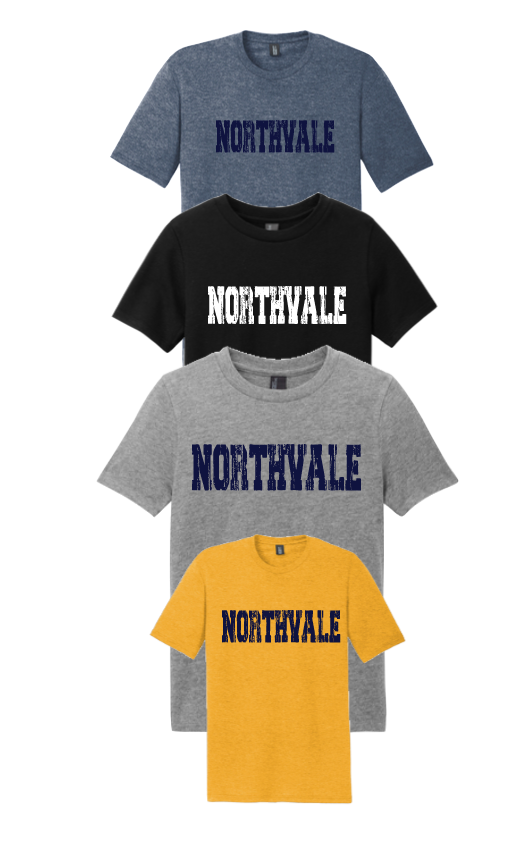 NORTHVALE  DISTRESSED LOGO TSHIRT/PERFORMANCE SHIRT