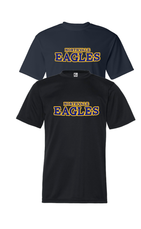 NORTHVALE EAGLES TWO TONE TRI BLEND TSHIRT/PERFORMANCE T-SHIRT