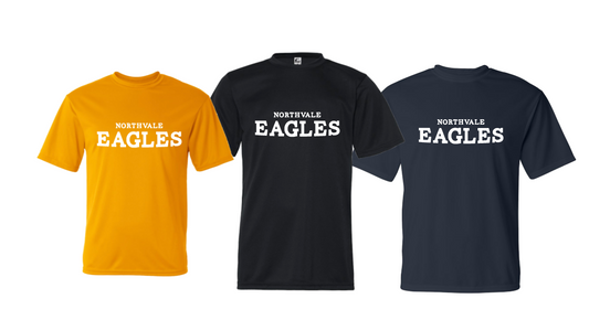 NORTHVALE EAGLES TRI BLEND TSHIRT/PERFORMANCE T-SHIRT