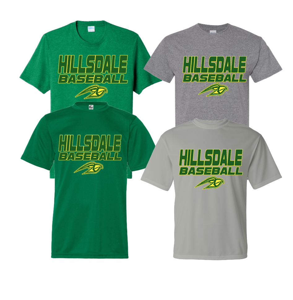 HILLSDALE HAWKS BASEBALL SHORT SLEEVE SHIRT