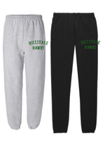 HILLSDALE HAWKS SWEATPANTS