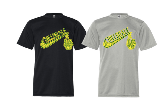 HILLSDALE HAWKS PERFORMANCE NIKE INSPIRED SHIRT