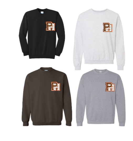 PASCACK HILLS CHEER/GENERIC RHINESTONE HOODIE/CREW