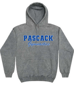 PASCACK GYMNASTICS MINERAL WASH HOODIE