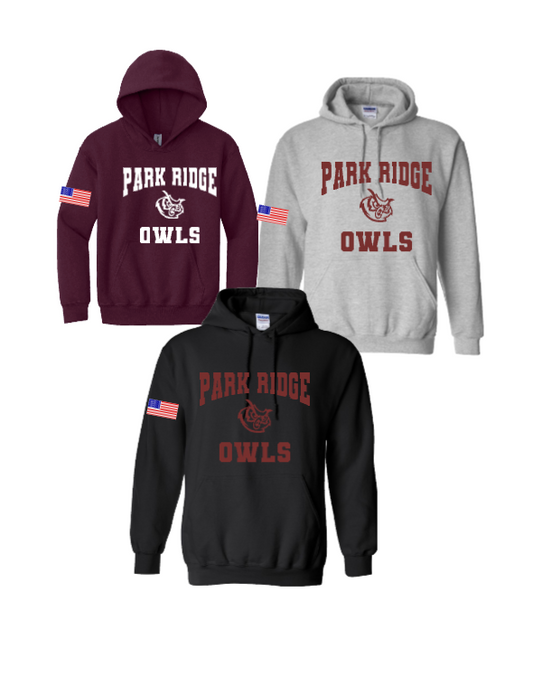 PARK RIDGE AMERICAN FLAG HOODIE
