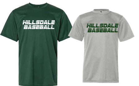 HILLSDALE HAWKS  SHORT SLEEVE SHIRT BASEBALL/SOFTBALL