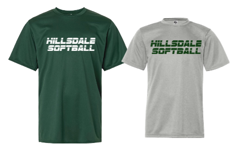 HILLSDALE HAWKS  SHORT SLEEVE SHIRT BASEBALL/SOFTBALL