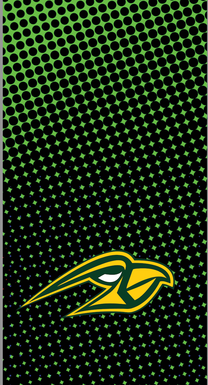 HAWKS ARM SLEEVE