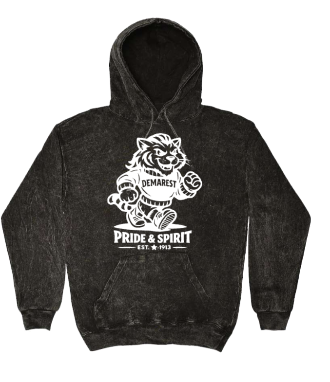 DEMAREST MINERAL WASH HOODIE