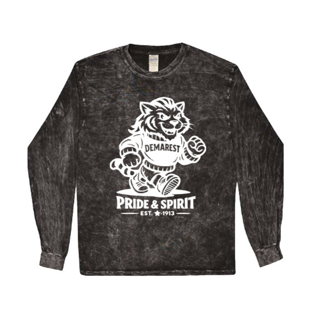DEMAREST MINERAL WASH LONG SLEEVE SHIRT