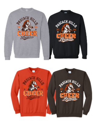 PASCACK HILLS CHEER HOODIE/CREW