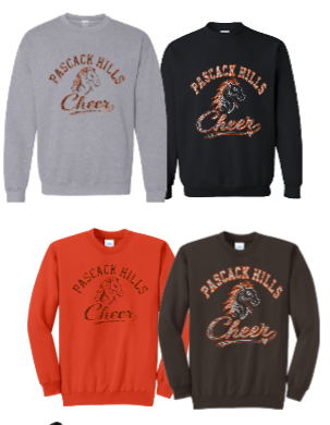 PASCACK HILLS CHEER/GENERIC RHINESTONE HOODIE/CREW