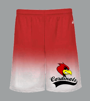 OMBRE SHORTS Local Pickups from Brookside Elementary!