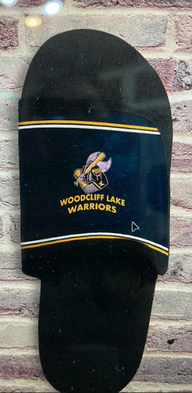 WARRIORS BASEBALL SLIDES