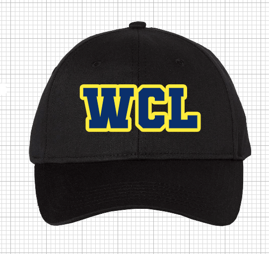 WARRIORS EMBROIDERED HAT