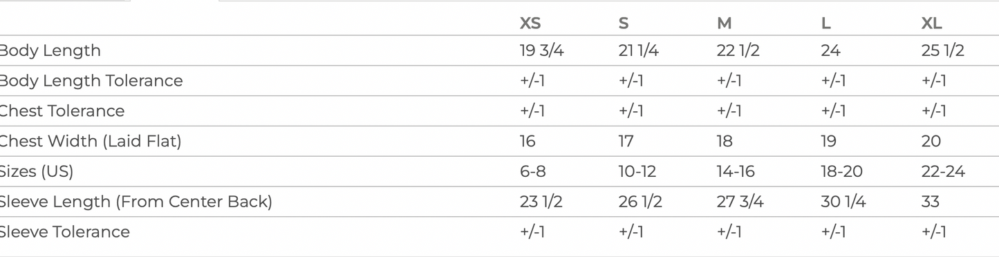 HILLSDALE HAWKS  NIKE INSPIRED HOODIE