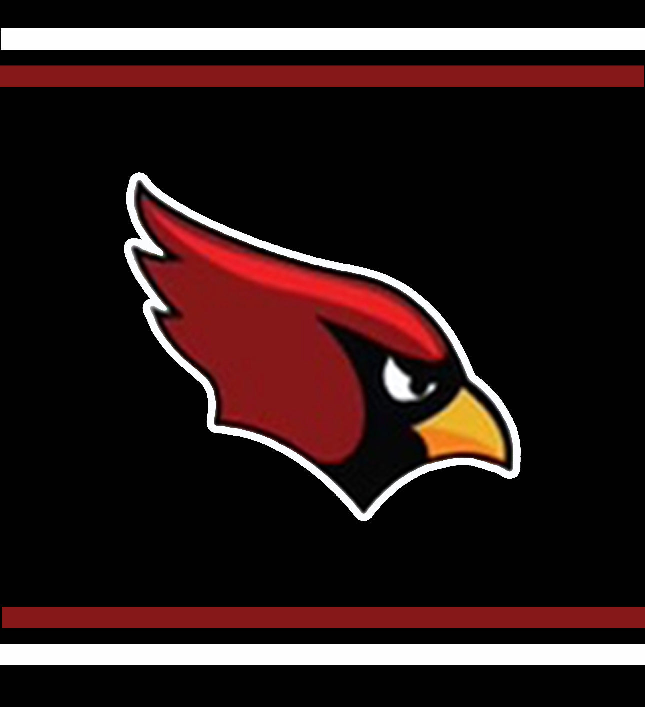 WASHINGTON CARDINALS CUSTOM MINKY BLANKET 50*60 OR 60*80